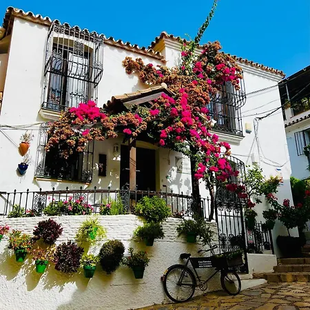 Modern By & Old Town With Pool *